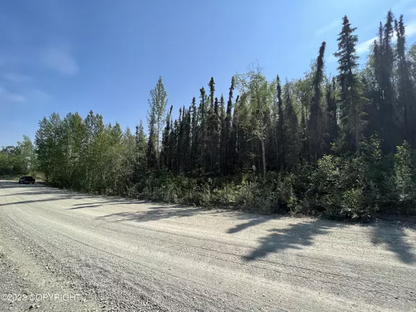 Houston, AK 99652,11740 W La Rae RD