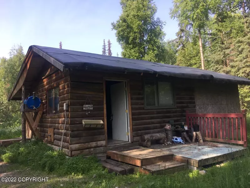 48786 S Bendapole RD, Willow, AK 99688