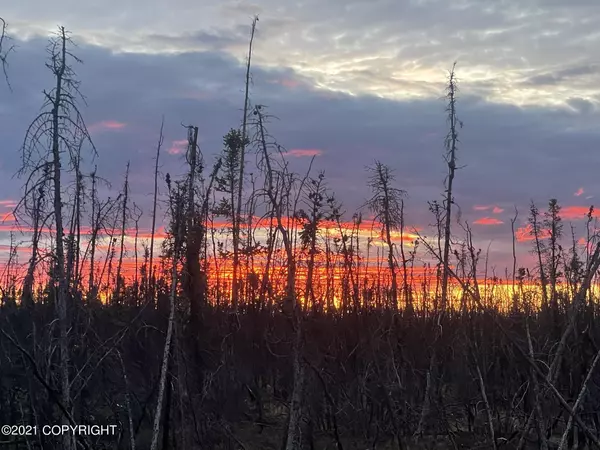 Clear, AK 99704,000 Kobe Ag RD