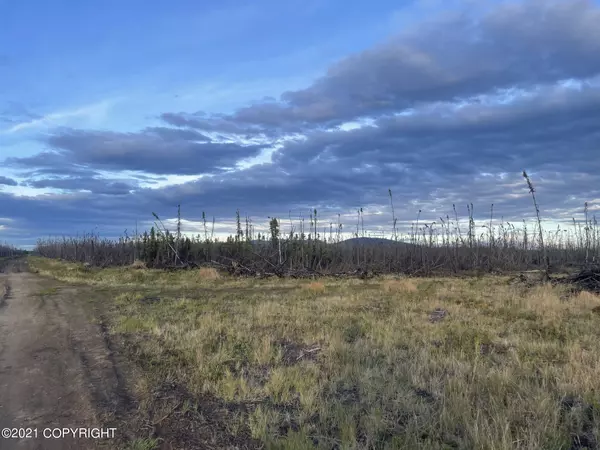 Clear, AK 99704,000 Kobe Ag RD