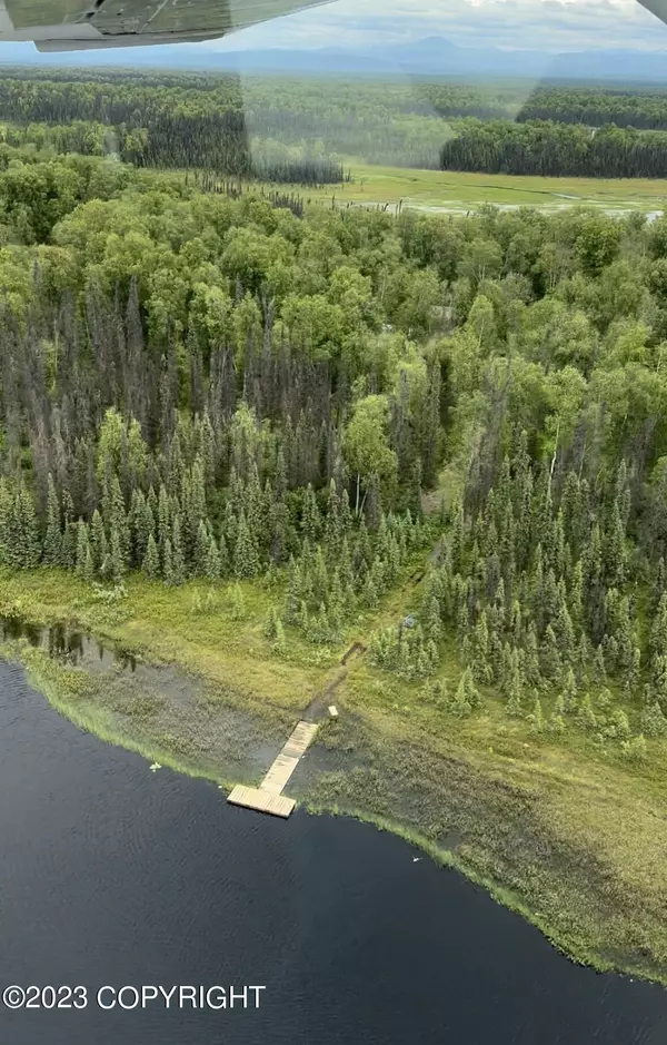 Trapper Creek, AK 99683,683 Beautiful Lake