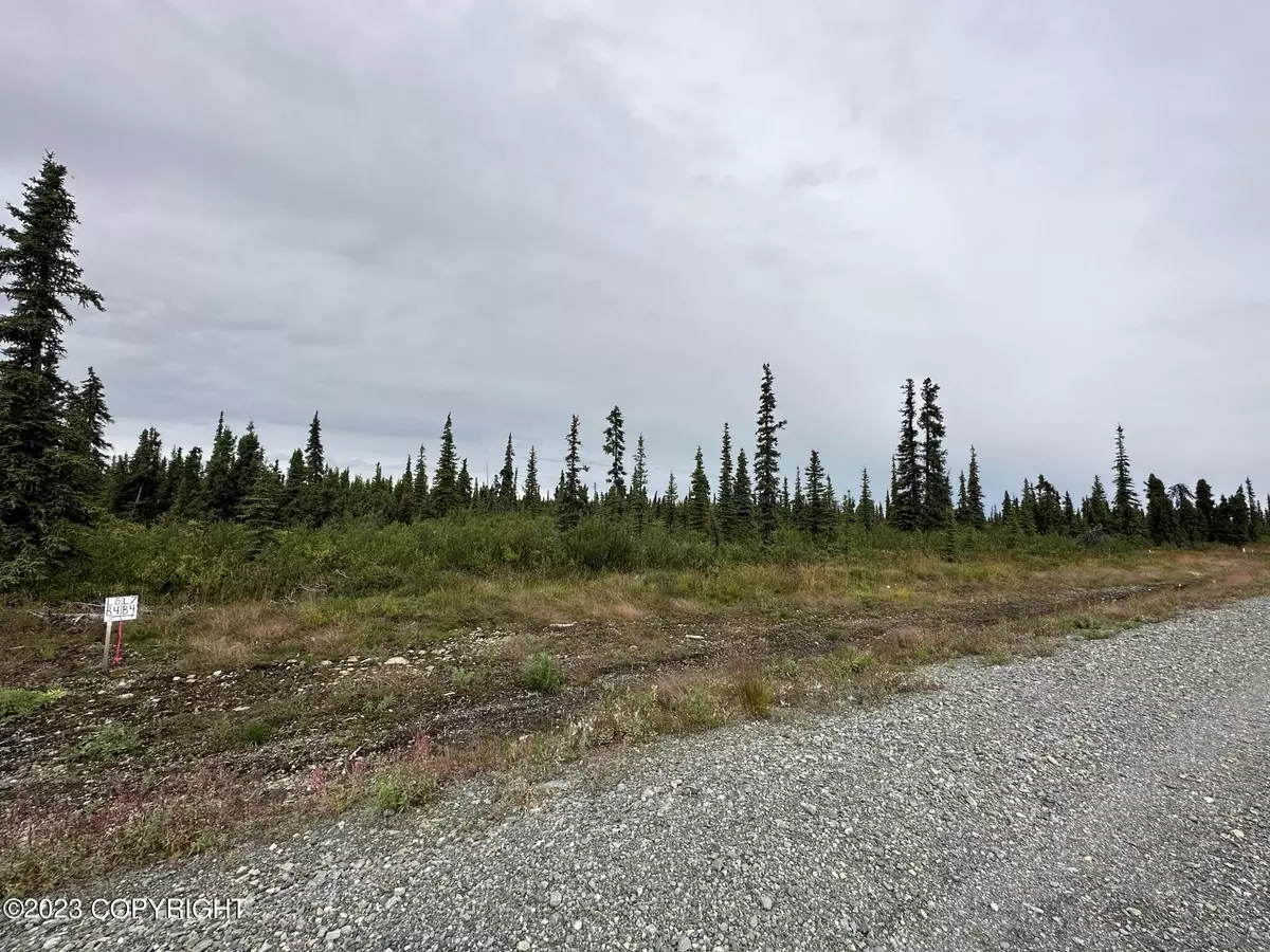 Chickaloon, AK 99674,49598 S Timberwolf RD