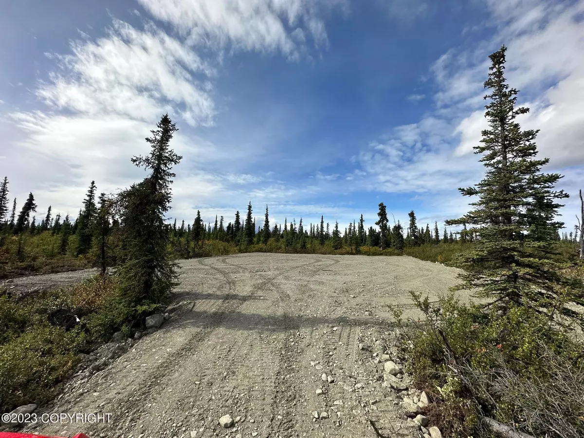 Chickaloon, AK 99674,49550 S Timberwolf RD