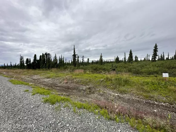 Chickaloon, AK 99674,49550 S Timberwolf RD