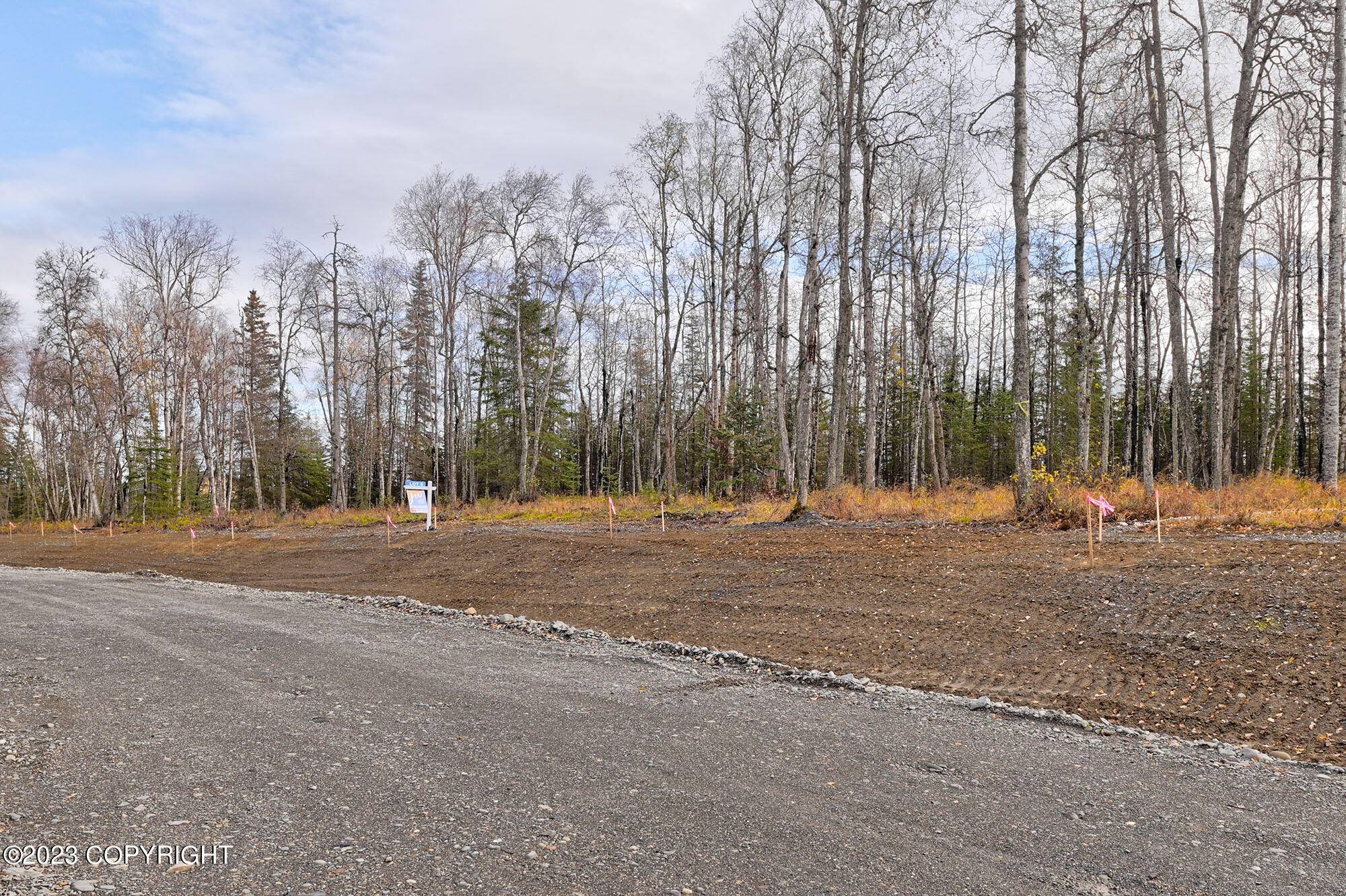 Soldotna, AK 99669,Lot 6 Dahlia CIR