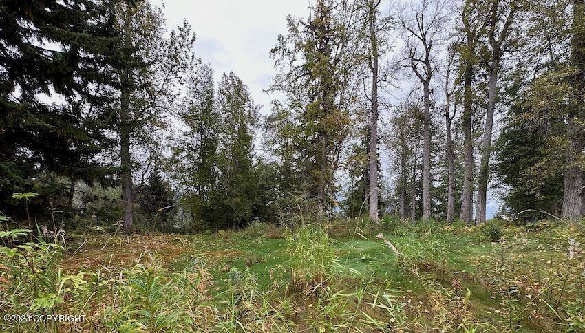 Haines, AK 99827,NHN Eagle Bluff DR