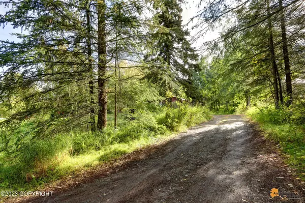 Anchorage, AK 99516,11201 Forest DR