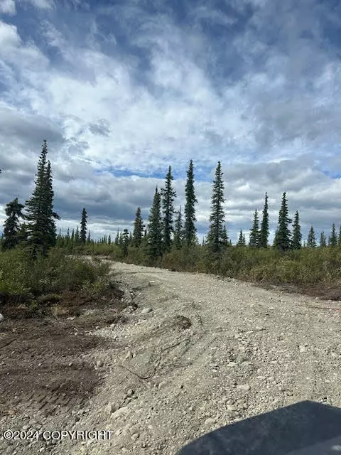 Chickaloon, AK 99674,49668 S Timberwolf RD