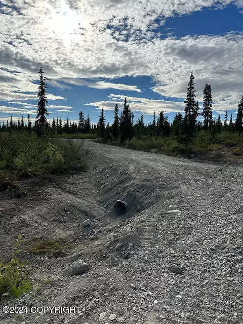 49686 S Timberwolf RD, Chickaloon, AK 99674