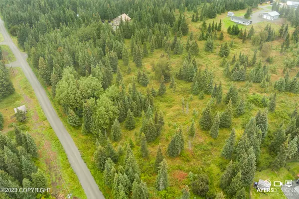 Clam Gulch, AK 99568,L7 Surf ST