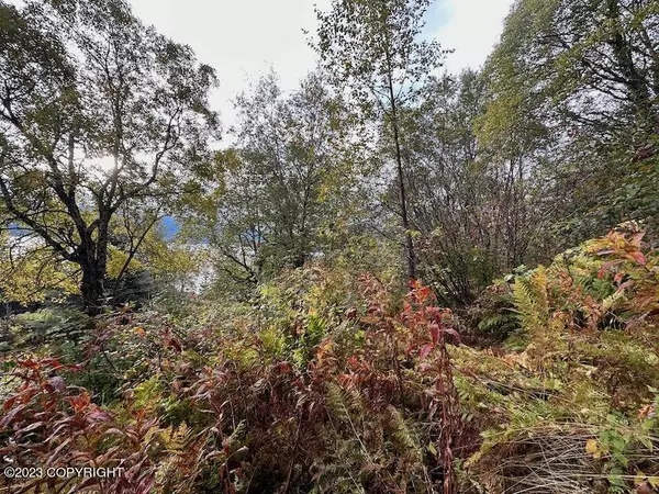 Haines, AK 99827,NHN Haven Court