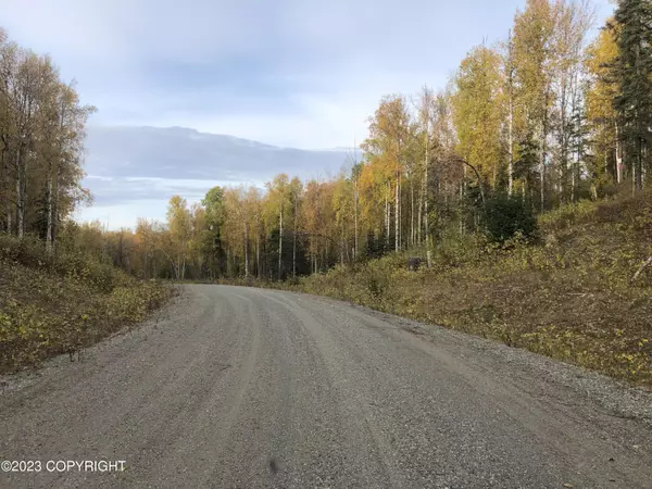 21626 W Bow Tie LOOP, Willow, AK 99688