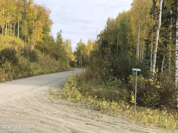 Willow, AK 99688,12976 N Prism DR