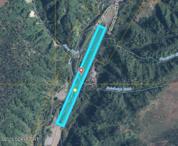 Trapper Creek, AK 99683,9445 S Cache Creek DR
