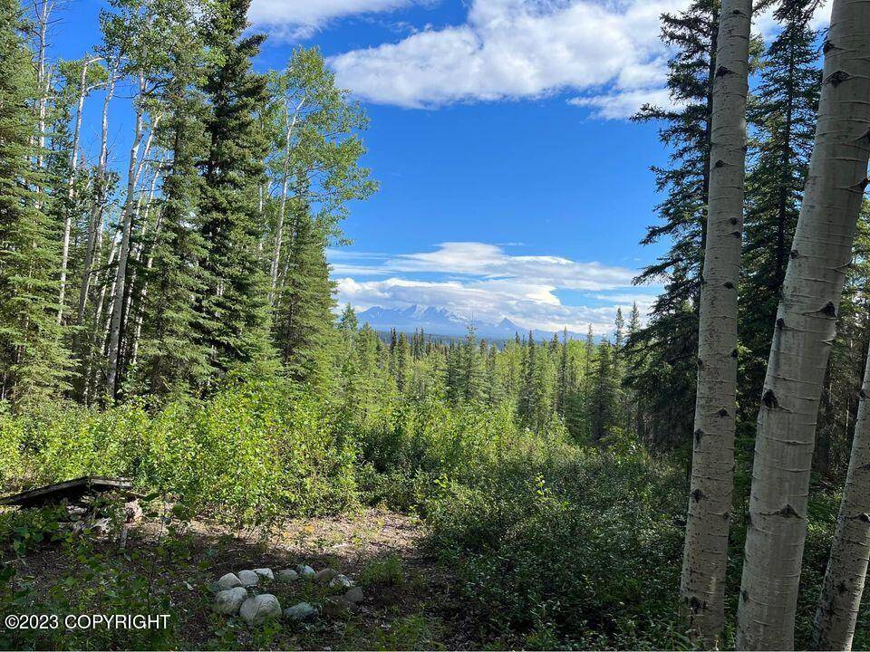 Copper Center, AK 99573,L9 B9 Tazlina SW Sub