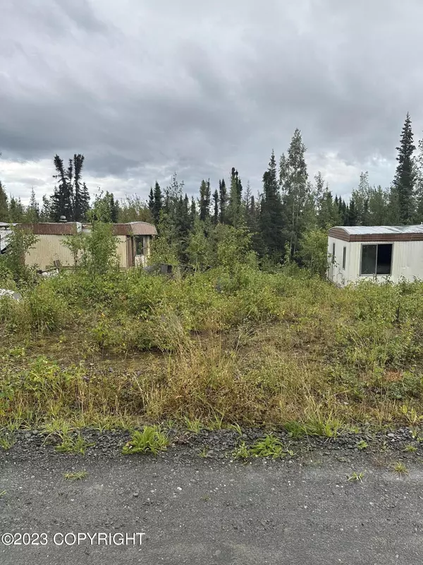 Soldotna, AK 99669,33595 New Don ST