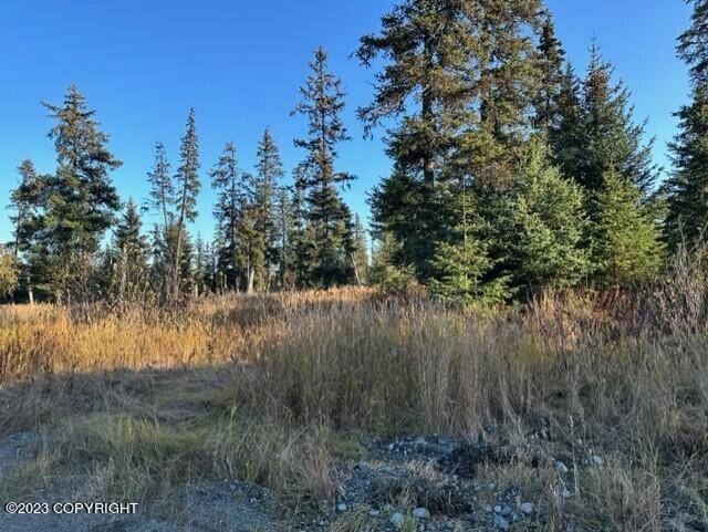 Anchor Point, AK 99556,31600 Whiskey Gulch ST