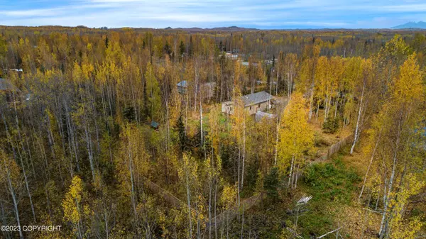 1855 S Henry Aaron DR Big Lake, AK 99652