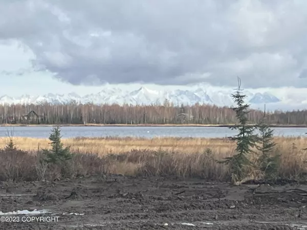 1109 S Rogers CT, Big Lake, AK 99652