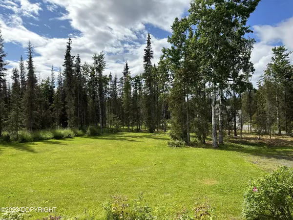 Kenai, AK 99611,355 Dolchok LN