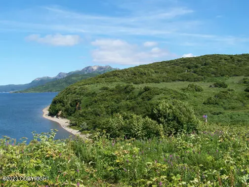 Chignik Lagoon, AK 99564,LOTS 1-4 SUB OF U.S. SURVEY NO. 959