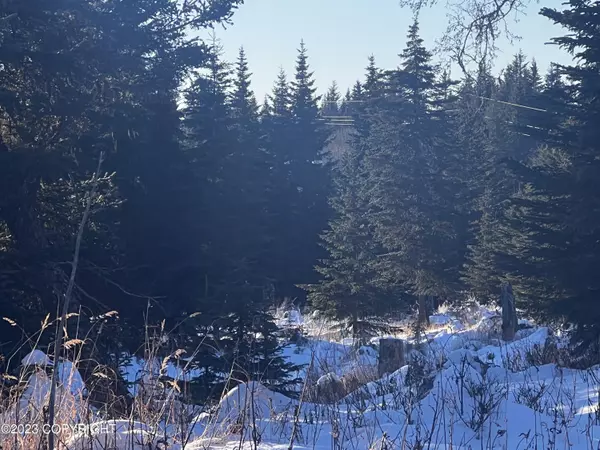 Ninilchik, AK 99639,67407 Kiana DR