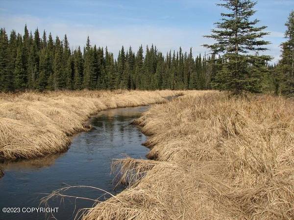 3.07 Acres Soldotna Crk (No Road), Soldotna, AK 99669