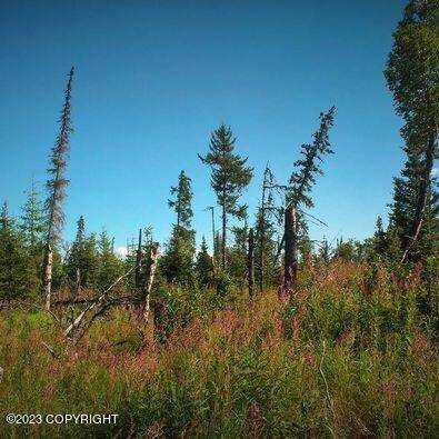 Nikolaevsk, AK 99556,D34 Alaskan Wildwood Ranch(r)