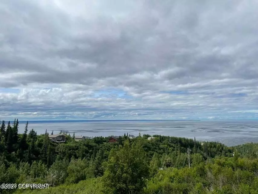 Anchorage, AK 99516,6130 Romania DR
