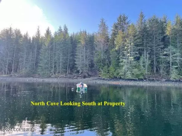 Tokeen, AK 99921,6 E