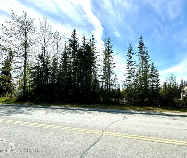 Soldotna, AK 99669,384 Starlite LN