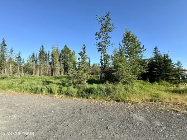 Soldotna, AK 99669,384 Starlite LN