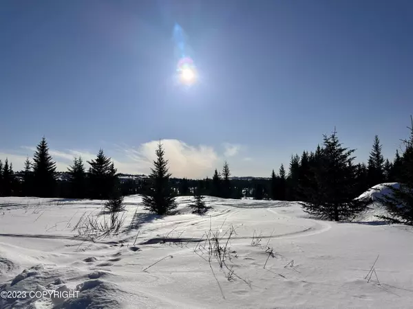 Nikolaevsk, AK 99556,000 Kostino X Berezka DR