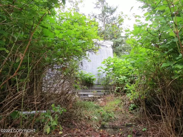 Tenakee Springs, AK 99841,LT 8 BL 16 USS 1418