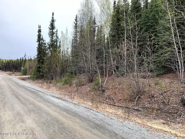 Soldotna, AK 99669,L8-10 B4 Trapline LN