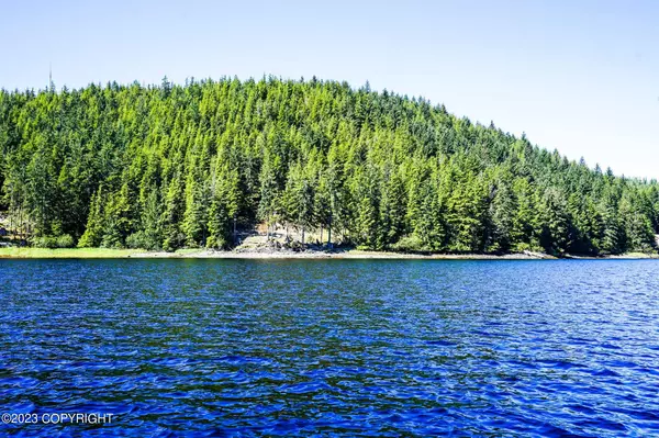 Thorne Bay, AK 99919,L7B1 Thorne Bay waterfront