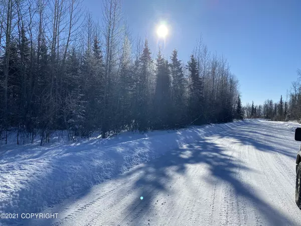 Wasilla, AK 99623,7963 S Lucindas PL