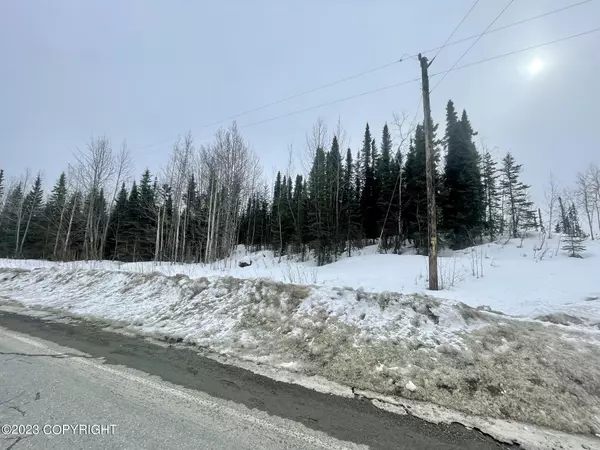 Soldotna, AK 99669,L5A Ansel DR