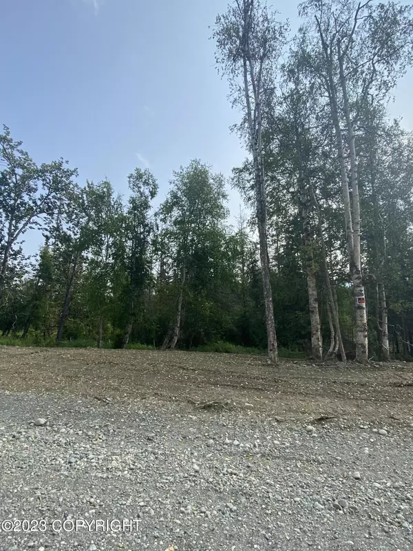 Wasilla, AK 99654,2650 W Longview CIR