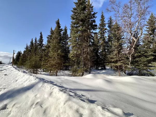 Clam Gulch, AK 99568,69125 Sterling HWY