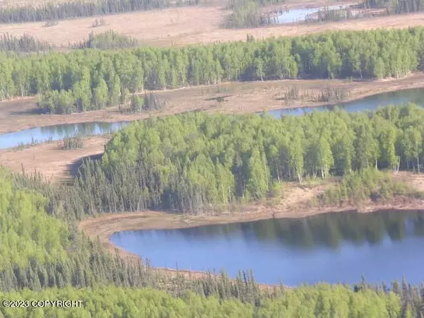 Skwentna, AK 99000,Tr C Josh Lake