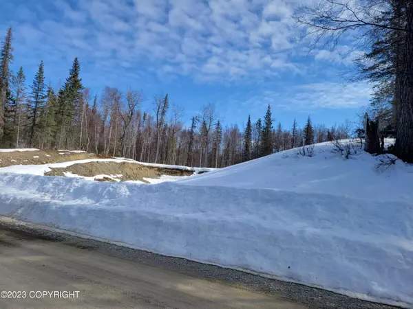 Nikiski/north Kenai, AK 99611,L12 B2 Hillside DR