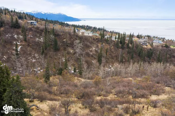 Anchorage, AK 99516,L23 Bulgaria DR