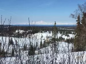 000 Towe AVE, Ninilchik, AK 99639