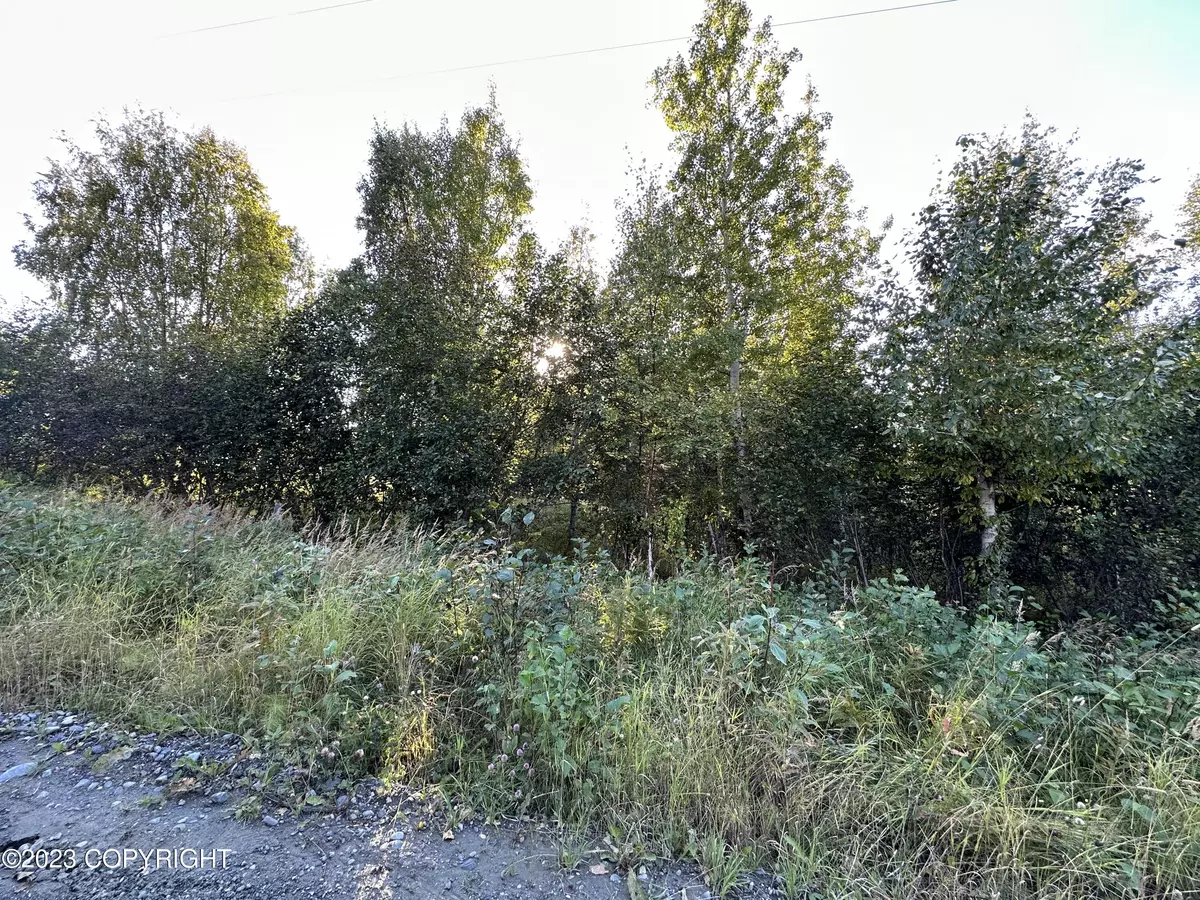 Soldotna, AK 99669,LOT 31 ECHO HILLS SUB NASH ADDN