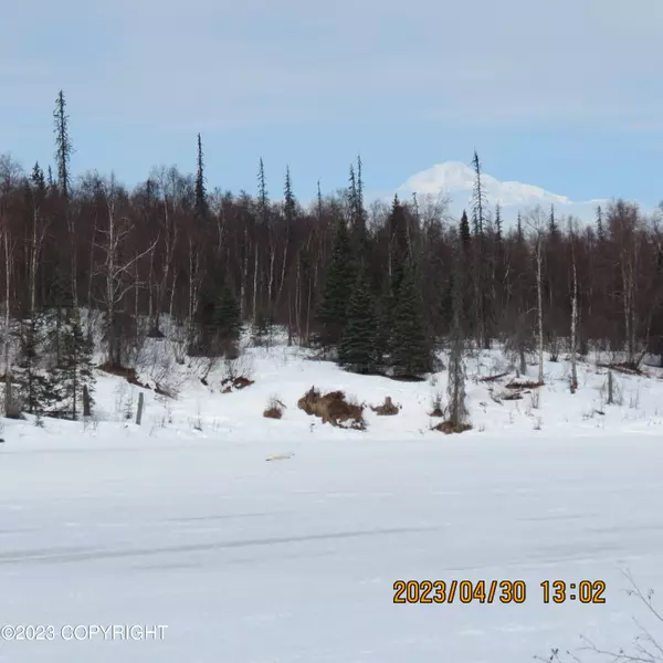 Tr H No Road, Trapper Creek, AK 99683