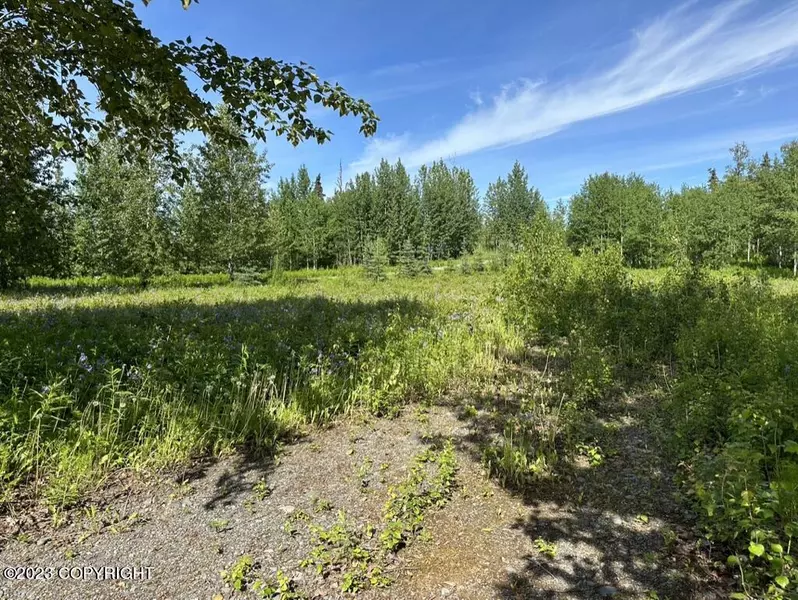 63805 Evergreen LOOP, Ninilchik, AK 99639