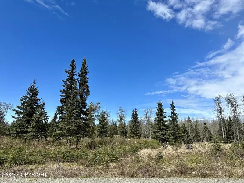 0000 Aspen AVE, Ninilchik, AK 99639