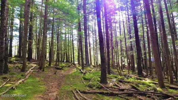 Haines, AK 99827,L6 BS Mud Bay RD