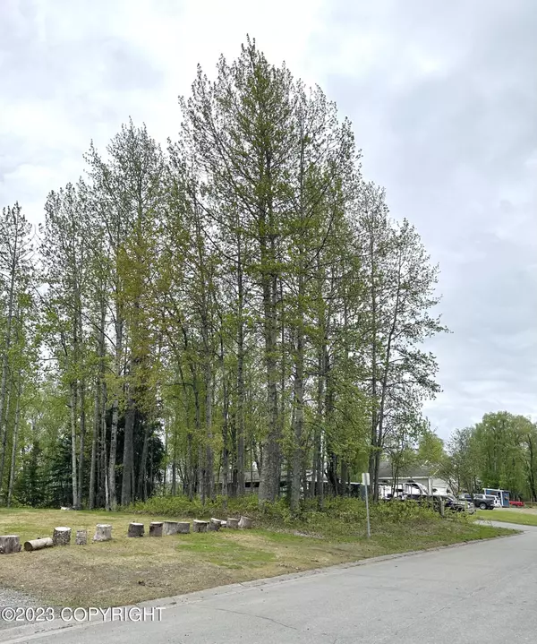 Soldotna, AK 99669,149 Hillcrest AVE